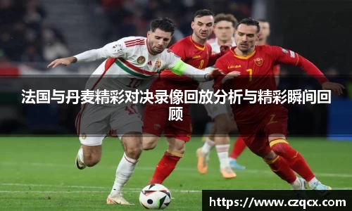 法国与丹麦精彩对决录像回放分析与精彩瞬间回顾